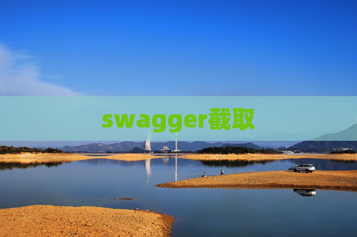 swagger截取